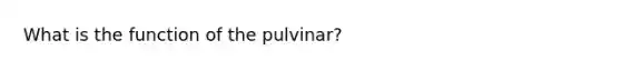 What is the function of the pulvinar?