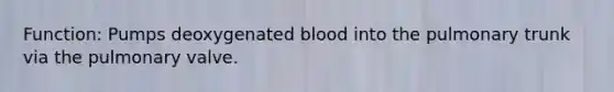 Function: Pumps deoxygenated blood into the pulmonary trunk via the pulmonary valve.