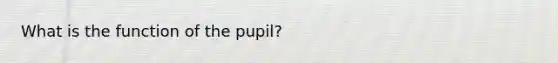 What is the function of the pupil?