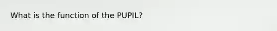 What is the function of the PUPIL?