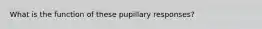 What is the function of these pupillary responses?