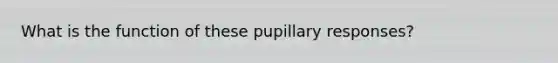 What is the function of these pupillary responses?