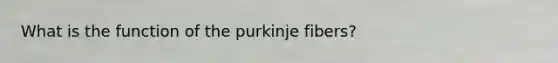 What is the function of the purkinje fibers?