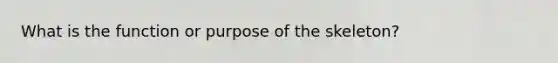 What is the function or purpose of the skeleton?