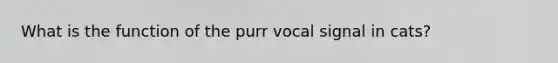 What is the function of the purr vocal signal in cats?