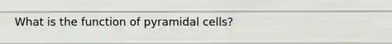 What is the function of pyramidal cells?