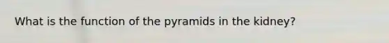 What is the function of the pyramids in the kidney?