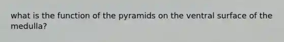 what is the function of the pyramids on the ventral surface of the medulla?