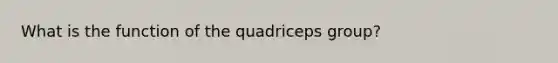 What is the function of the quadriceps group?