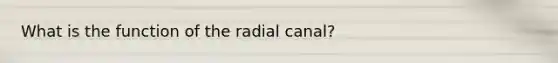 What is the function of the radial canal?