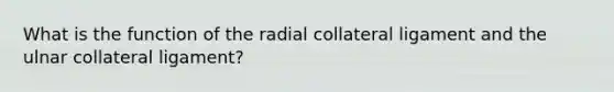 What is the function of the radial collateral ligament and the ulnar collateral ligament?