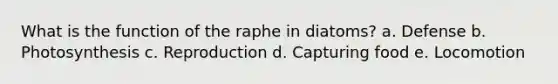 What is the function of the raphe in diatoms? a. Defense b. Photosynthesis c. Reproduction d. Capturing food e. Locomotion