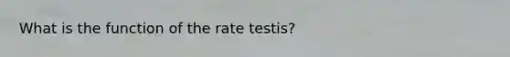 What is the function of the rate testis?