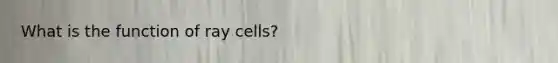 What is the function of ray cells?