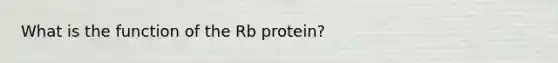 What is the function of the Rb protein?