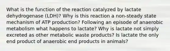 What is the function of the reaction catalyzed by lactate dehydrogenase (LDH)? Why is this reaction a non-steady state mechanism of ATP production? Following an episode of anaerobic metabolism what happens to lactate? Why is lactate not simply excreted as other metabolic waste products? Is lactate the only end product of anaerobic end products in animals?