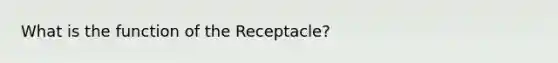 What is the function of the Receptacle?