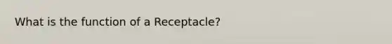 What is the function of a Receptacle?