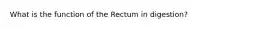 What is the function of the Rectum in digestion?