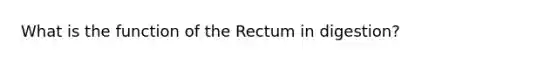 What is the function of the Rectum in digestion?