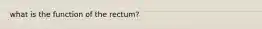 what is the function of the rectum?