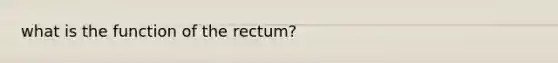 what is the function of the rectum?