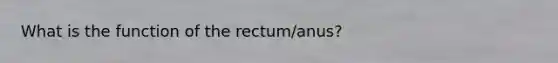 What is the function of the rectum/anus?