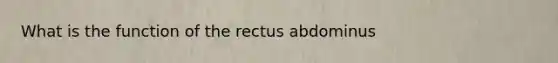 What is the function of the rectus abdominus