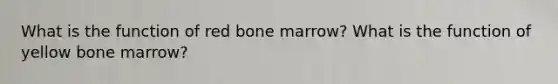 What is the function of red bone marrow? What is the function of yellow bone marrow?