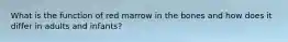 What is the function of red marrow in the bones and how does it differ in adults and infants?