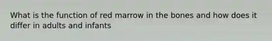 What is the function of red marrow in the bones and how does it differ in adults and infants