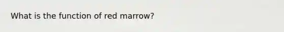 What is the function of red marrow?