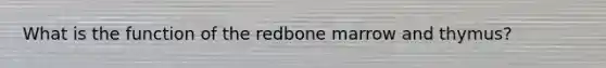 What is the function of the redbone marrow and thymus?