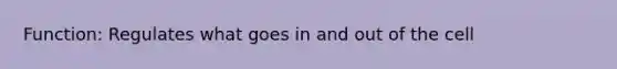 Function: Regulates what goes in and out of the cell