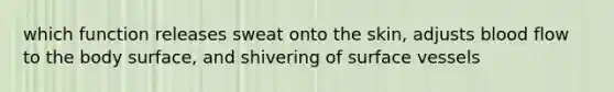 which function releases sweat onto the skin, adjusts blood flow to the body surface, and shivering of surface vessels