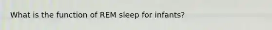 What is the function of REM sleep for infants?