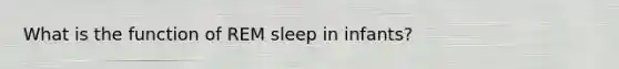 What is the function of REM sleep in infants?