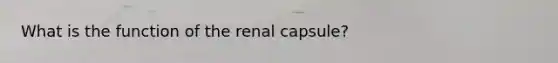 What is the function of the renal capsule?