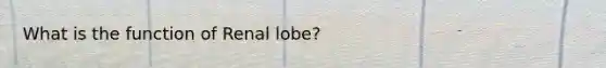 What is the function of Renal lobe?