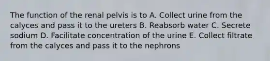 The function of the renal pelvis is to A. Collect urine from the calyces and pass it to the ureters B. Reabsorb water C. Secrete sodium D. Facilitate concentration of the urine E. Collect filtrate from the calyces and pass it to the nephrons