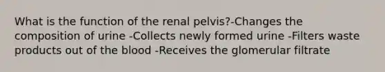 What is the function of the renal pelvis?-Changes the composition of urine -Collects newly formed urine -Filters waste products out of the blood -Receives the glomerular filtrate