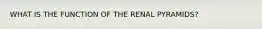 WHAT IS THE FUNCTION OF THE RENAL PYRAMIDS?