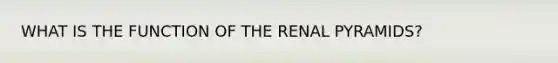 WHAT IS THE FUNCTION OF THE RENAL PYRAMIDS?