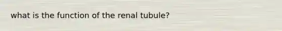 what is the function of the renal tubule?