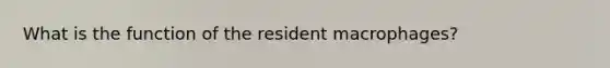 What is the function of the resident macrophages?