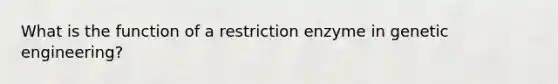 What is the function of a restriction enzyme in genetic engineering?