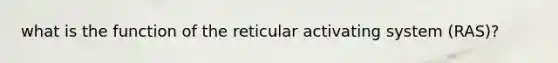 what is the function of the reticular activating system (RAS)?