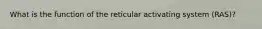 What is the function of the reticular activating system (RAS)?