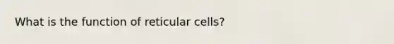 What is the function of reticular cells?