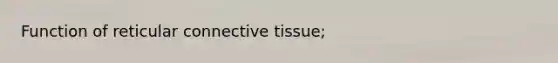 Function of reticular connective tissue;